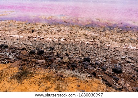 Pink lake, textures pictured from above. Close up picture. Sand, rocks, stones, pink water. Color pink due to salty water and algae. Hutt lagoon, West Australia WA, Australia