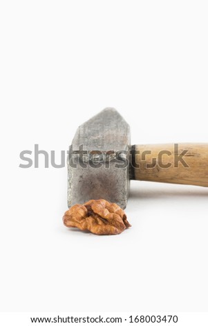 nuts on the white background