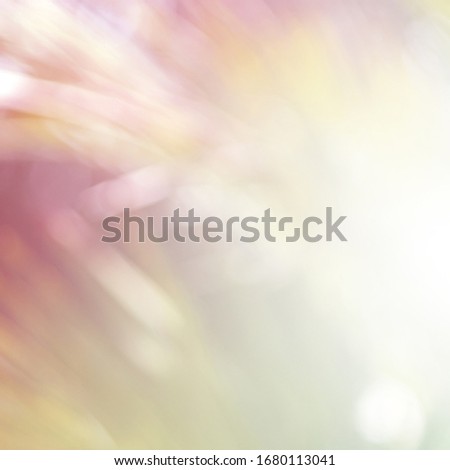 Green leaf blurred and blur natural abstract. Effect sunlight  soft bright shiny style  bokeh circle yellow and orange blurry morning . For wallpaper backdrop and background.
