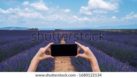 Wonderful landscape near Valensole, tourist taking a picture of the flower field.