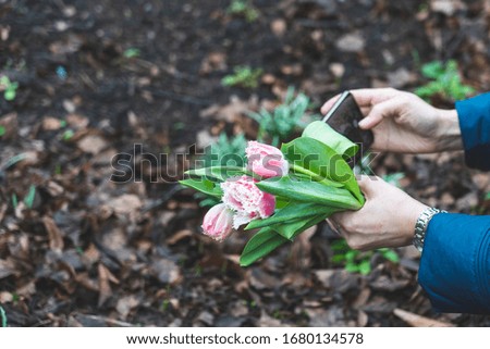 women's hands hold spring flowers and take photos on a smartphone