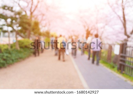 Abstract beautiful blurred background of cherry blossoms or Sakura in japan.