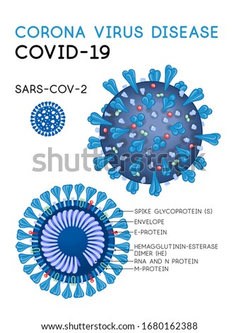 Corona virus disease covid-19, sars-cov-2 cell model with annotation. Vector illustration. Clip art, set of elements for design, Infographic banner, card, poster. . Royalty-Free Stock Photo #1680162388