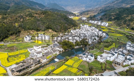 Aerial photography Wuhai terraced rapeseed flower sea, Chinese historical and cultural village Wuyuan Hongguan.