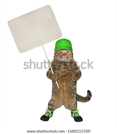 The beige cat in a green cap and sneakers is holding a paper blank white sign on a stick. White background. Isolated.