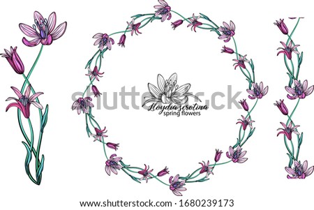 set of pink flowers. Wreath. Bouquet. Spring flowers