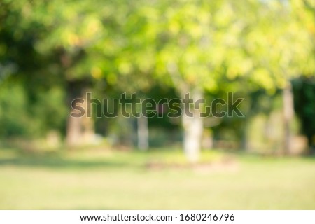 Natural outdoors bokeh background in green and yellow tones with sun rays