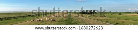 Sheep grazing in front of lighthouse on dike in East Frisia (Pilsum, Ostfriesland, Germany) Royalty-Free Stock Photo #1680272623