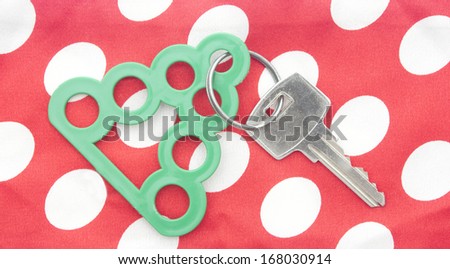 key with blank tag in the form of a Christmas tree