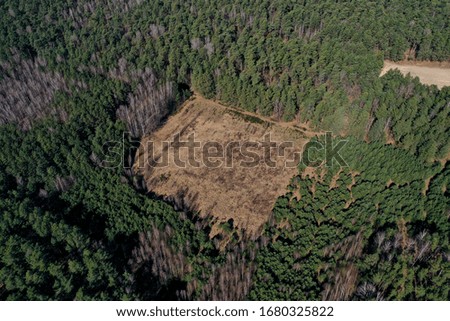 deforestation top view aerial photography from a drone