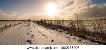 Footsteps in snow in East Frisia (Ostfriesland) Royalty-Free Stock Photo #1680335209