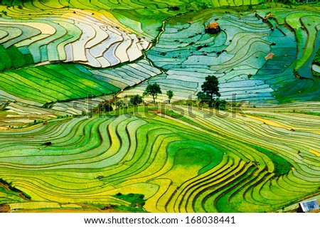 Beautiful landscape about terraced rice field in Laocai province, Vietnam  Royalty-Free Stock Photo #168038441