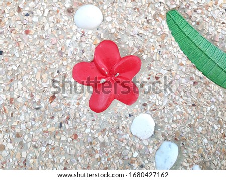 Close up image Picture of Concrete Cement with small gravel texture and White flower and Green leave - At the walkway