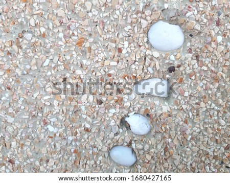 Close up image Picture of Concrete Cement with small gravel texture and White flower and Green leave - At the walkway