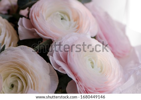 a bouquet of pink ranunculus for the bride with wedding ring