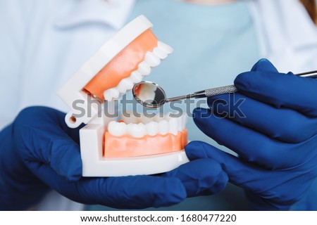 Dentist appointment, dentistry instruments and dental hygienist checkup concept with teeth model dentures and stomatology instruments on dark grey. Regular checkups are essential to oral health