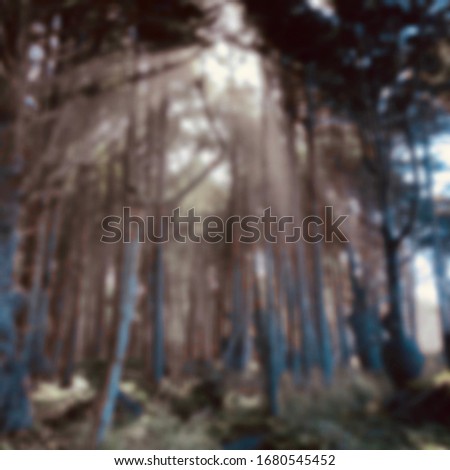 Blurred photo of nature view