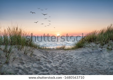 Sand dunes on the beach at sunset Royalty-Free Stock Photo #1680563710