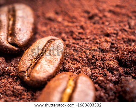 pile of ground coffee beans and powder
