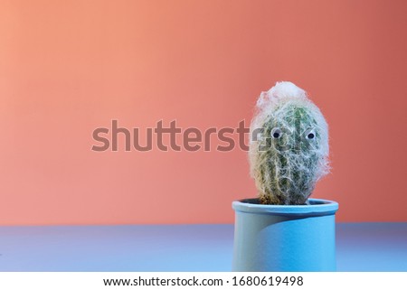 Cactus in a pot with cheerful eyes on a bright color background