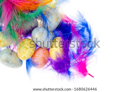 Decorative colored eggs and feathers on white background. Studio Photo
