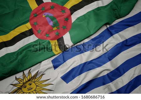 waving colorful flag of uruguay and national flag of dominica. macro