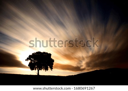 Night landscape with trees and clouds on a hill and star trails.