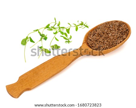 Flax seeds in a wooden spoon and flax sprouts on white background Royalty-Free Stock Photo #1680723823