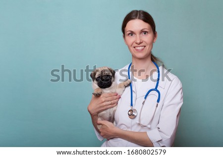 Veterinary doctor woman holding a pug puppy and smiling. Veterinary medicine. Copy space Royalty-Free Stock Photo #1680802579