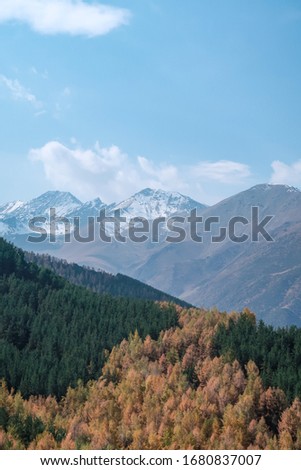 Snowy mountains and pine forest