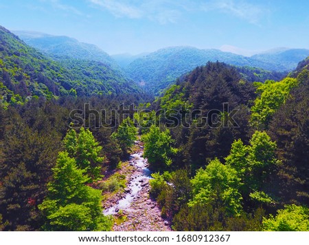 drone image of the Stream flowing through the forest green nature 