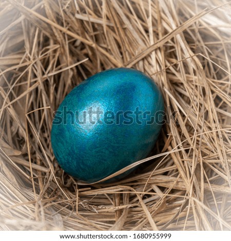 Shiny colorful easter egg in nest. Easter Eggs concept