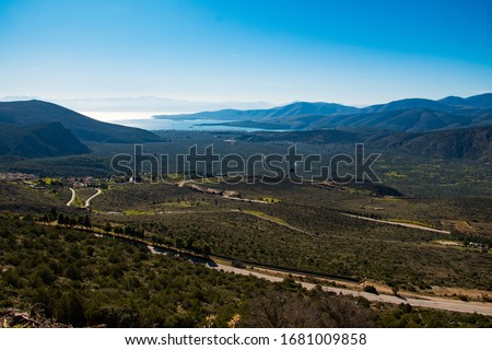 Panoramic view of the huge ancient olive grove of Delphi and the bay of Itea in Phocis, Greece