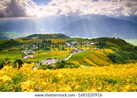 Autumn scenery of Lioushidan Mountain (Sixty Stone Mountain). Resplendent Sunshine on sea of golden-colored Daylily Blossoms by the Trails of village & Crepuscular ray is Taiwan aesthetic sense.
