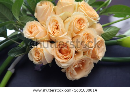Rose, a beautiful looking flower.