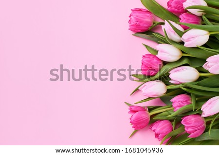 Bouquet of pink tulips on pink background. Mothers day, Valentines Day, Birthday celebration concept. Greeting card. Copy space for text, top view Royalty-Free Stock Photo #1681045936
