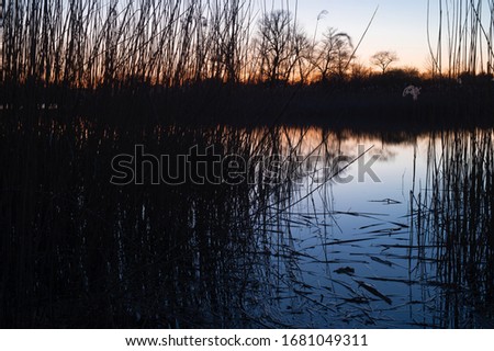 Colorful evening and sunset over a lake, winter in Masuria Lake District. Swamps overgrown with trees and reeds. Poland