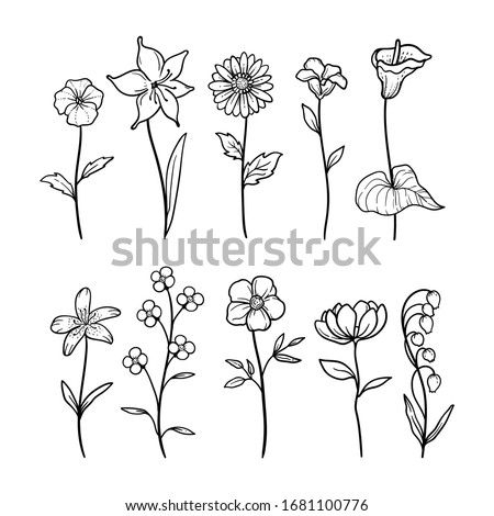illustration vector graphic of floral nature 3