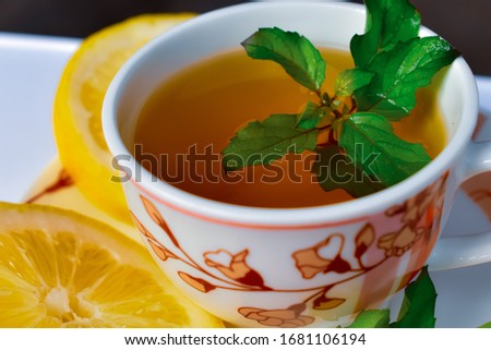 The photography picture Morning green Tea with Holy Basil and Lemon the Tea of Holiday Basil,Tulsi,Ocimum Tenuiflorum in a transparent cup cute Tea cup,plate Isolated images stock photo.