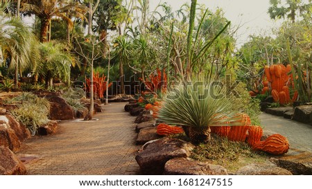 Agave Palm trees and cactus in a tropical park in Thailand.