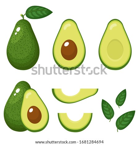 Set of fresh whole, half, cut slice and leaves avocado isolated on white background. Summer fruits for healthy lifestyle. Organic fruit. Cartoon style. Vector illustration for any design. Royalty-Free Stock Photo #1681284694
