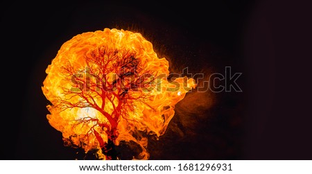 Burning Tree on fire isolated black background