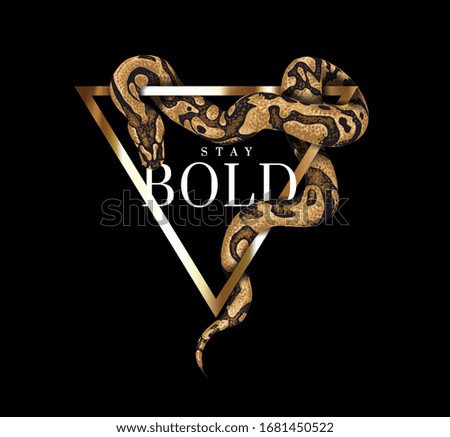 stay bold slogan with python wrapping around triangle frame illustration