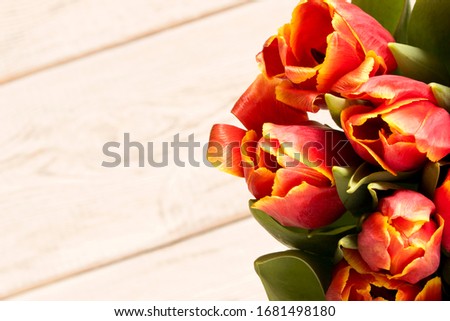 Bouquet of tulips on a light background. Concept image for a greeting card. Selective focus