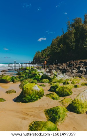 Kauai, Hawaii Na Pali Coast Tropical Beach