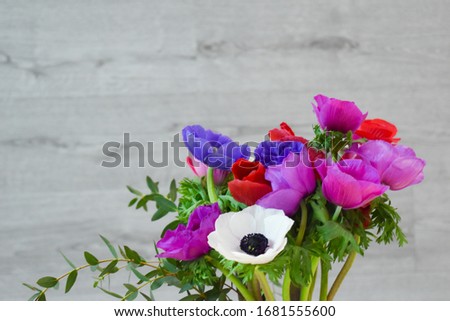 A bouquet of anemones. A beautiful blue anemone flowers. Blue poppies. Exotic fresh flowers. Bouquet of colorful flowers.