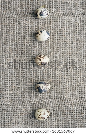 A row of quail eggs on a background of rough canvas. Happy easter banner, top view