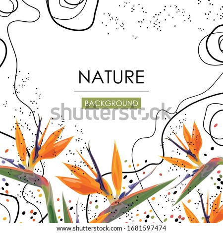 Card, banner, poster, flyer, sticker with exotic flowers. Bird of paradise flower. Exotic background. Vector illustration.