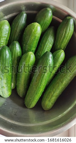 a plate of green wet cucumbers
