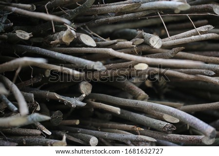 Large pile of wood, preparation for the winter season. Wooden texture rustic background with chopped wood round stump. Cut the tree trunks in the forest for winter heating.